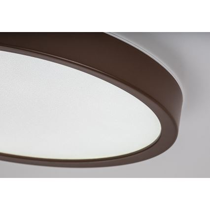 Rabalux - Plafoniera da soffitto per bagno LED/18W/230V 3000/4000/6000K Ø 29 cm IP44 marrone
