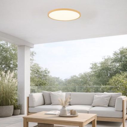 Rabalux - plafoniera da soffitto per bagno LED/24W/230V 3000/4000/6000K Ø 40 cm IP44 beige