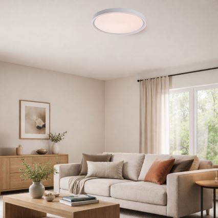 Rabalux - Plafoniera da soffitto dimmerabile a LED 31W/230V IP40 3000-6500K Ø 41,5 cm + telecomando