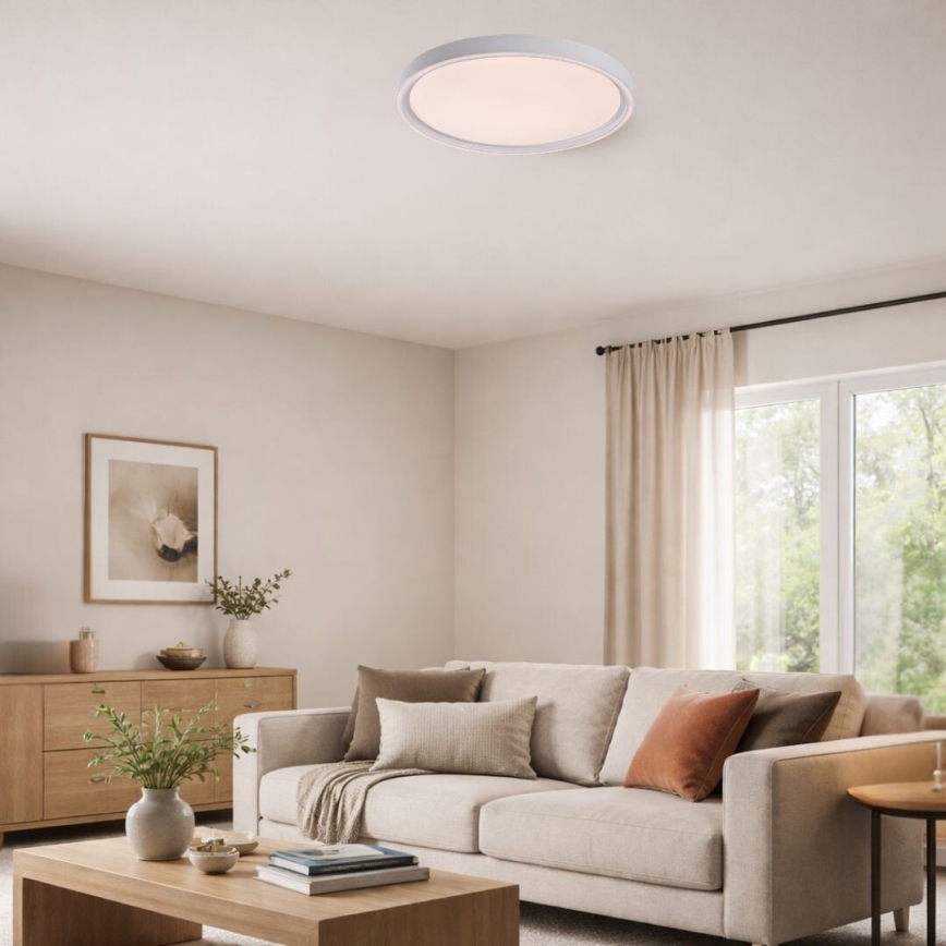Rabalux - Plafoniera da soffitto dimmerabile a LED 31W/230V IP40 3000-6500K Ø 41,5 cm + telecomando