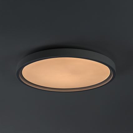Rabalux - Plafoniera da soffitto dimmerabile a LED 31W/230V IP40 3000-6500K Ø 41,5 cm + telecomando