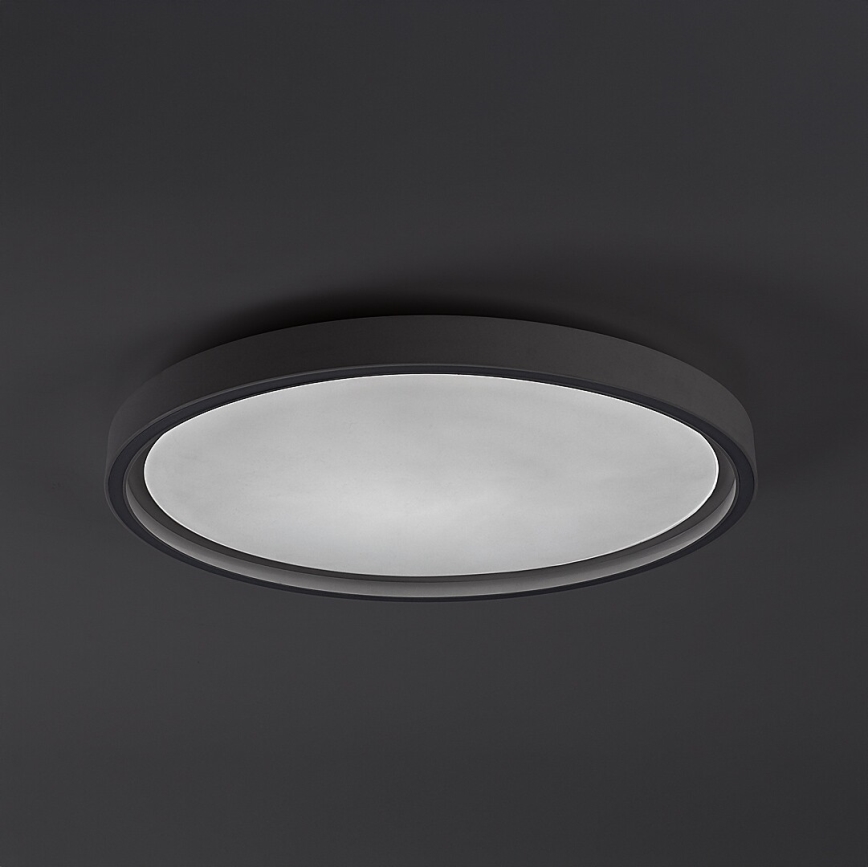 Rabalux - Plafoniera da soffitto dimmerabile a LED 31W/230V IP40 3000-6500K Ø 41,5 cm + telecomando