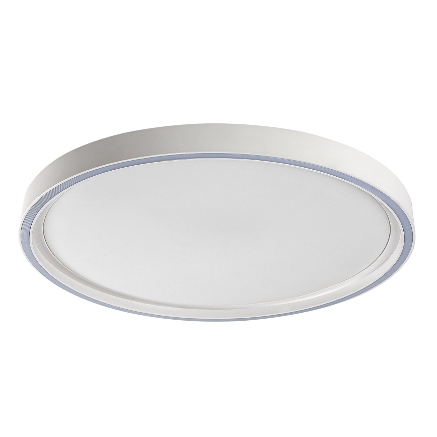 Rabalux - Plafoniera da soffitto dimmerabile a LED 31W/230V IP40 3000-6500K Ø 41,5 cm + telecomando