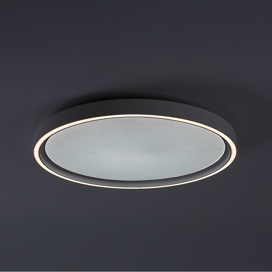 Rabalux - Plafoniera da soffitto dimmerabile a LED 31W/230V IP40 3000-6500K Ø 41,5 cm + telecomando