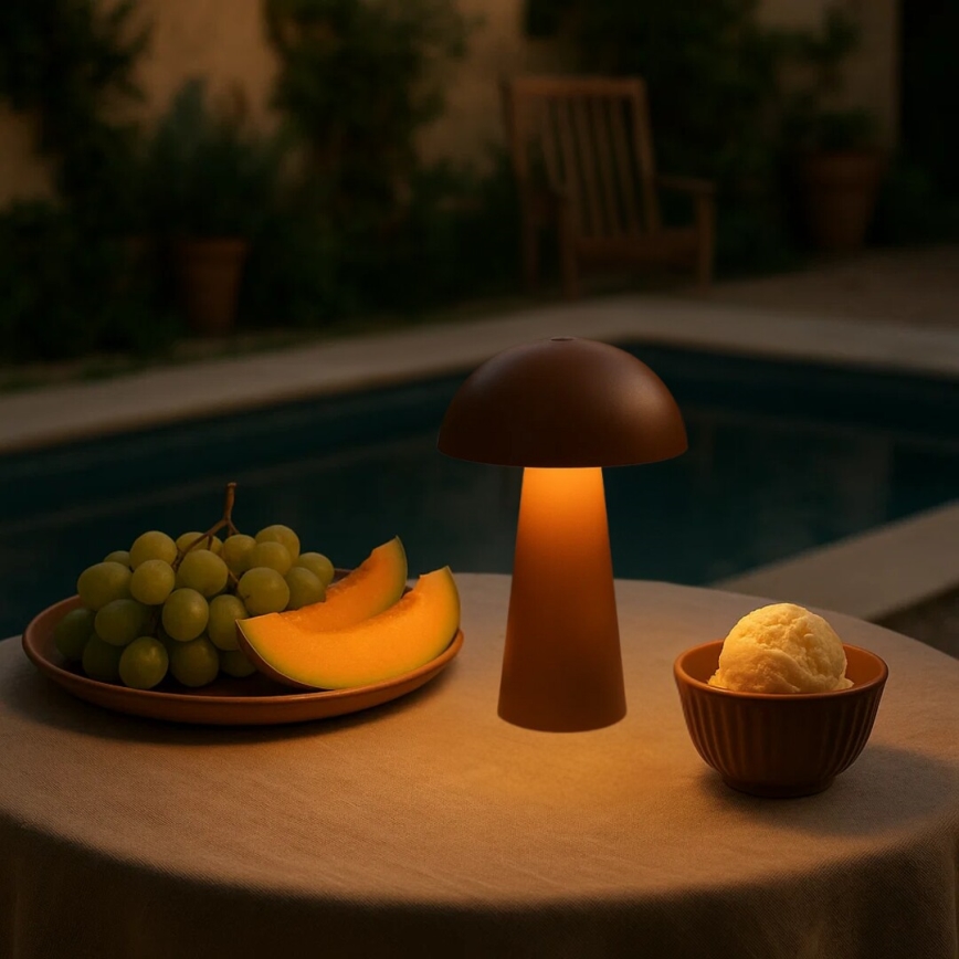Rabalux - Lampada da esterno ricaricabile a LED dimmerabile a sfioramento LED/1,5W/5V IP44 1200 mAh USB marrone
