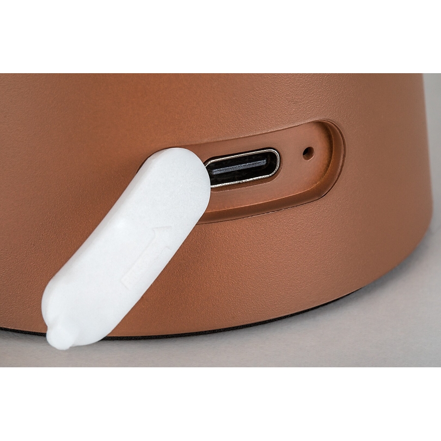 Rabalux - Lampada da esterno ricaricabile a LED dimmerabile a sfioramento LED/1,5W/5V IP44 1200 mAh USB marrone