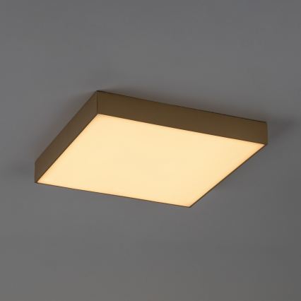 Rabalux - Plafoniera da bagno a LED/24W/230V 2800/4000/6000K IP44