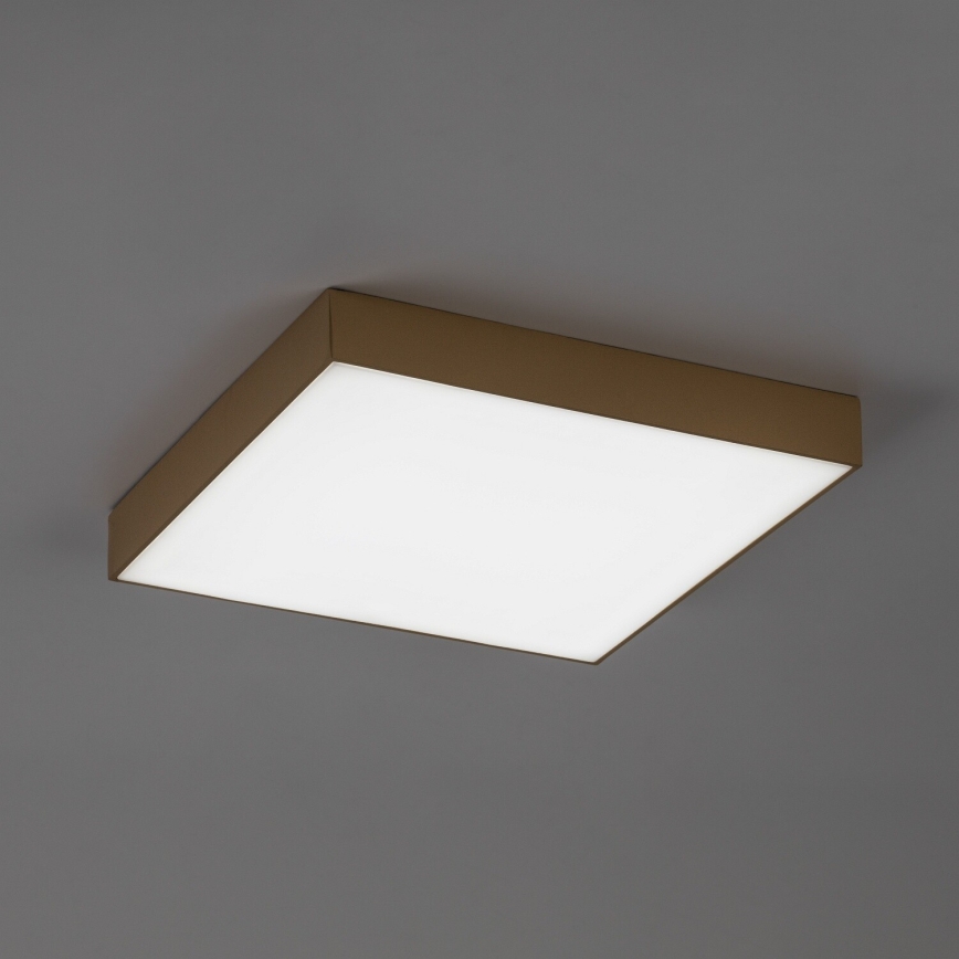 Rabalux - Plafoniera da bagno a LED/24W/230V 2800/4000/6000K IP44