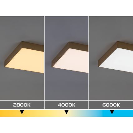 Rabalux - Plafoniera da bagno a LED/24W/230V 2800/4000/6000K IP44