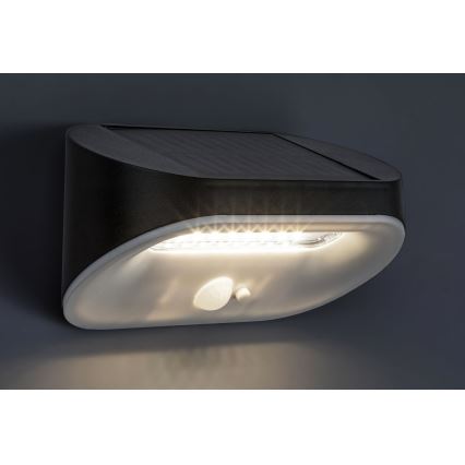 Rabalux - Lampada LED solare con sensore LED/3,2W/3,7V IP44