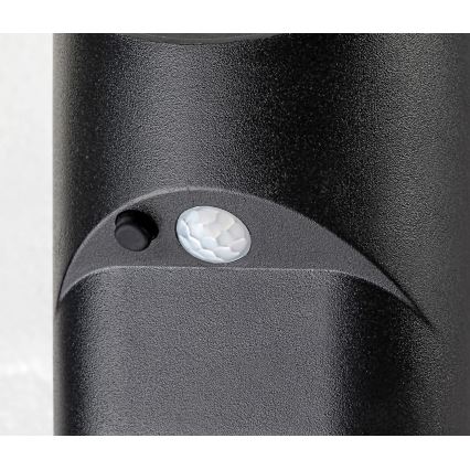 Rabalux - Luce solare a LED con sensore LED/3,6W/3,7V IP44 1800 mAh