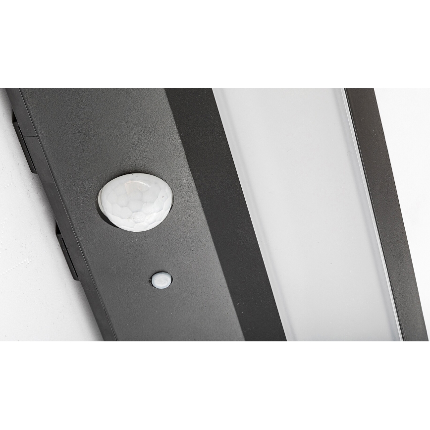 Rabalux - Luce solare a LED con sensore LED/6W/3,7V IP44 2200 mAh
