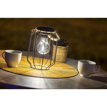 Rabalux - Lampada solare LED LED/0,2W/1,2V IP44 600 mAh