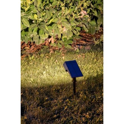 Rabalux - Lampada solare LED LED/0,5W/3,7V IP65 nera 3000 mAh