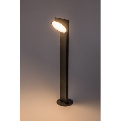 Rabalux - Lampada LED da esterno LED/12W/230V IP54