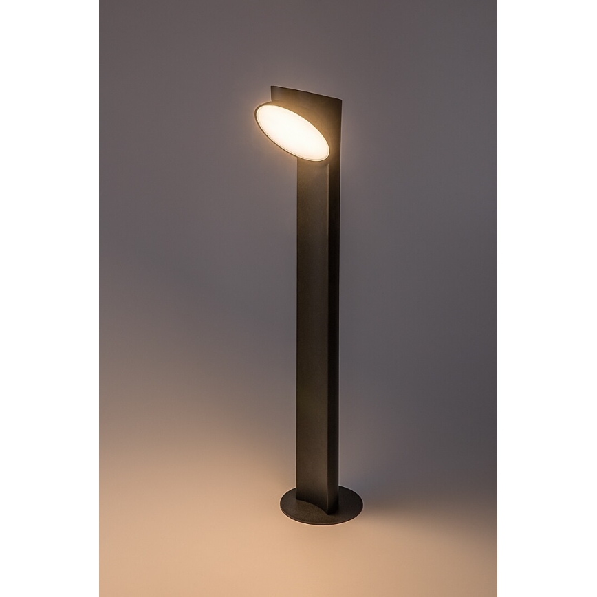 Rabalux - Lampada LED da esterno LED/12W/230V IP54