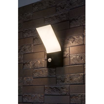 Rabalux - LED Applique da esterno con sensore LED/10W/230V IP54