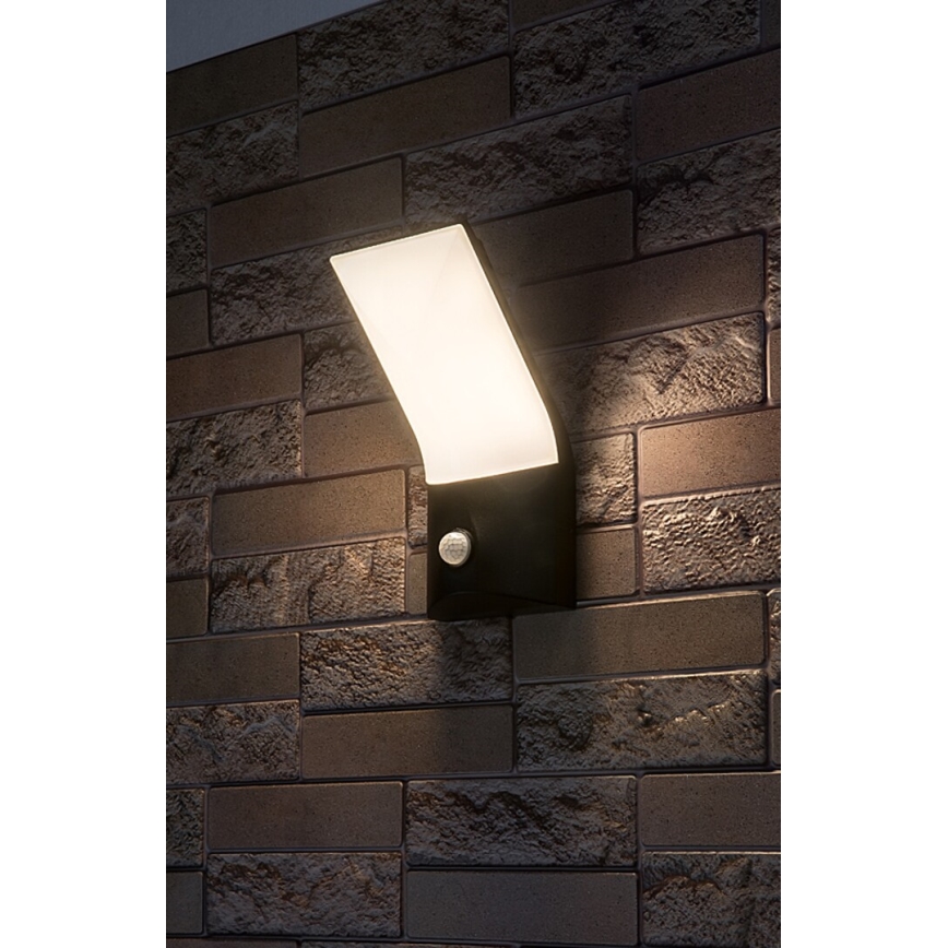 Rabalux - LED Applique da esterno con sensore LED/10W/230V IP54