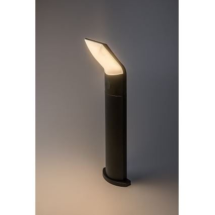 Rabalux - Lampada LED da esterno LED/10W/230V IP54