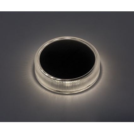 Rabalux - Lampada LED solare LED/0,3W/1,2V 800mAh IP65
