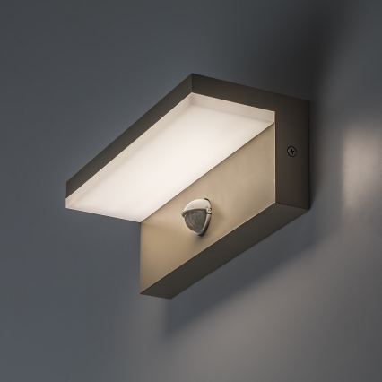 Rabalux - Lampada da parete per esterni a LED con sensore LED/9W/230V IP54 beige