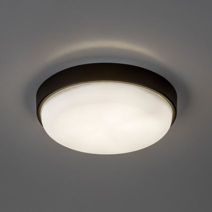 Rabalux - plafoniera LED per esterni LED/14W/230V IP54 nero