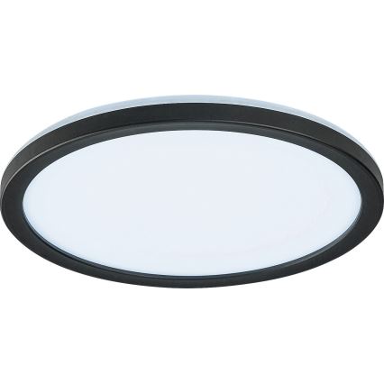 Rabalux - Plafoniera LED da esterno dimmerabile LED/15W/230V Wi-Fi Tuya 2700-6500K IP44 + telecomando