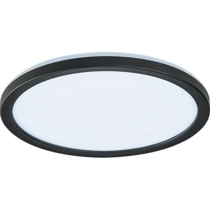 Rabalux - Plafoniera LED dimmerabile da esterno LED/15W/230V Wi-Fi Tuya 2700-6500K IP44 + telecomando