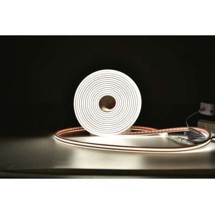 Rabalux - Striscia LED RGBW dimmerabile LED/21W/230V 5 m IP67 + telecomando