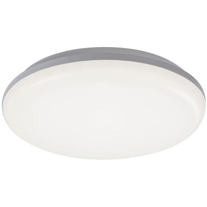 Rabalux - Plafoniera LED da esterno LED/24W/230V IP64