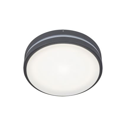 Rabalux 8847 - Applique a LED da esterno HAMBURG LED/10W/230V IP44
