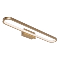 Rabalux - Illuminazione per specchio da bagno a LED/18W/230V IP44 60 cm
