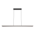 Rabalux - Lampada a sospensione con cavo LED/40W/230V 3000K