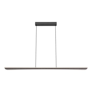Rabalux - Lampada a sospensione con cavo LED/40W/230V 3000K