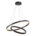 Rabalux - Lampada a sospensione LED dimmerabile su cavo LED/80W/230V 3000-6500K + telecomando