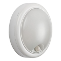 Rabalux - Lampada da parete LED da esterno con sensore LED/15W/230V IP54