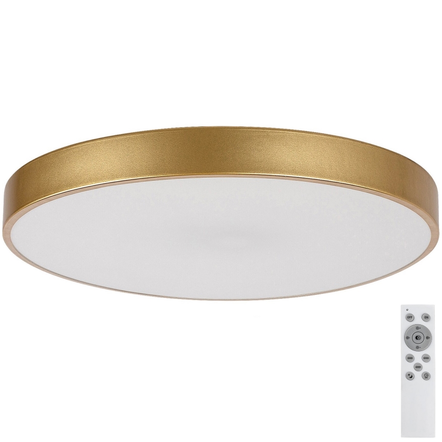 Rabalux - Lampada da soffitto dimmerabile a LED/60W/230V 3000-6000K con telecomando ø 60 cm