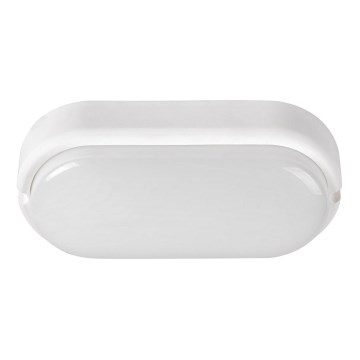 Rabalux - Lampada da soffitto LED da esterno LED/15W/230V IP54 bianco