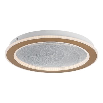 Rabalux - Lampada da soffitto LED dimmerabile 24W/230V 3000-6500K diam. 40 cm + telecomando