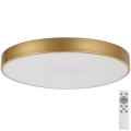 Rabalux - Lampada da soffitto LED dimmerabile LED/60W/230V 3000-6000K con telecomando