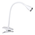 Rabalux - Lampada da tavolo LED con morsetto LED/4,5W/230V