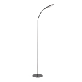 Rabalux - Lampada da terra dimmerabile a LED con touch LED/10W/230V 3000-6000K nero