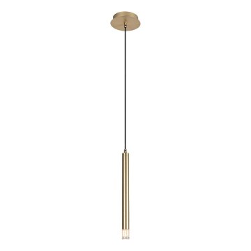 Rabalux - Lampadario a sospensione con filo 1xG9/5W/230V oro