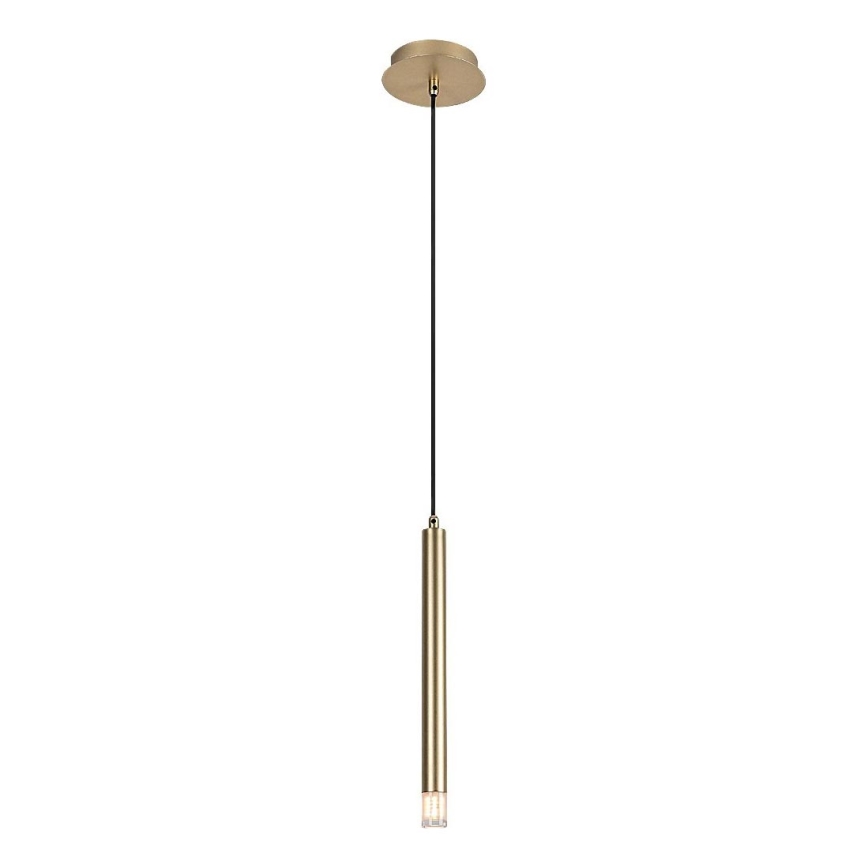 Rabalux - Lampadario a sospensione con filo 1xG9/5W/230V oro