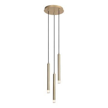 Rabalux - Lampadario a sospensione con filo 3xG9/5W/230V oro
