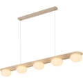 Rabalux - Lampadario a sospensione su cavo 5xG9/25W/230V