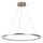 Rabalux - Lampadario a sospensione su cavo LED/55W/230V 3000K