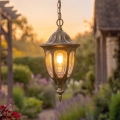 Rabalux - Lampadario da esterno 1xE27/60W/230V IP43 oro/patina/nero