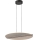 Rabalux - Lampadario LED a cavo LED/24W/230V 3000K
