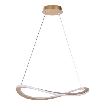 Rabalux - Lampadario LED a sospensione con cavo LED/40W/230V 3000K